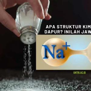 Apa-Struktur-Kimia-Garam-Dapur
