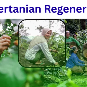 Pertanian Regeneratif - untri.ac.id